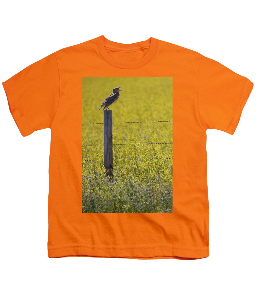 Art Youth T-Shirt featuring the photograph Meadowlark Singing by Randall Nyhof