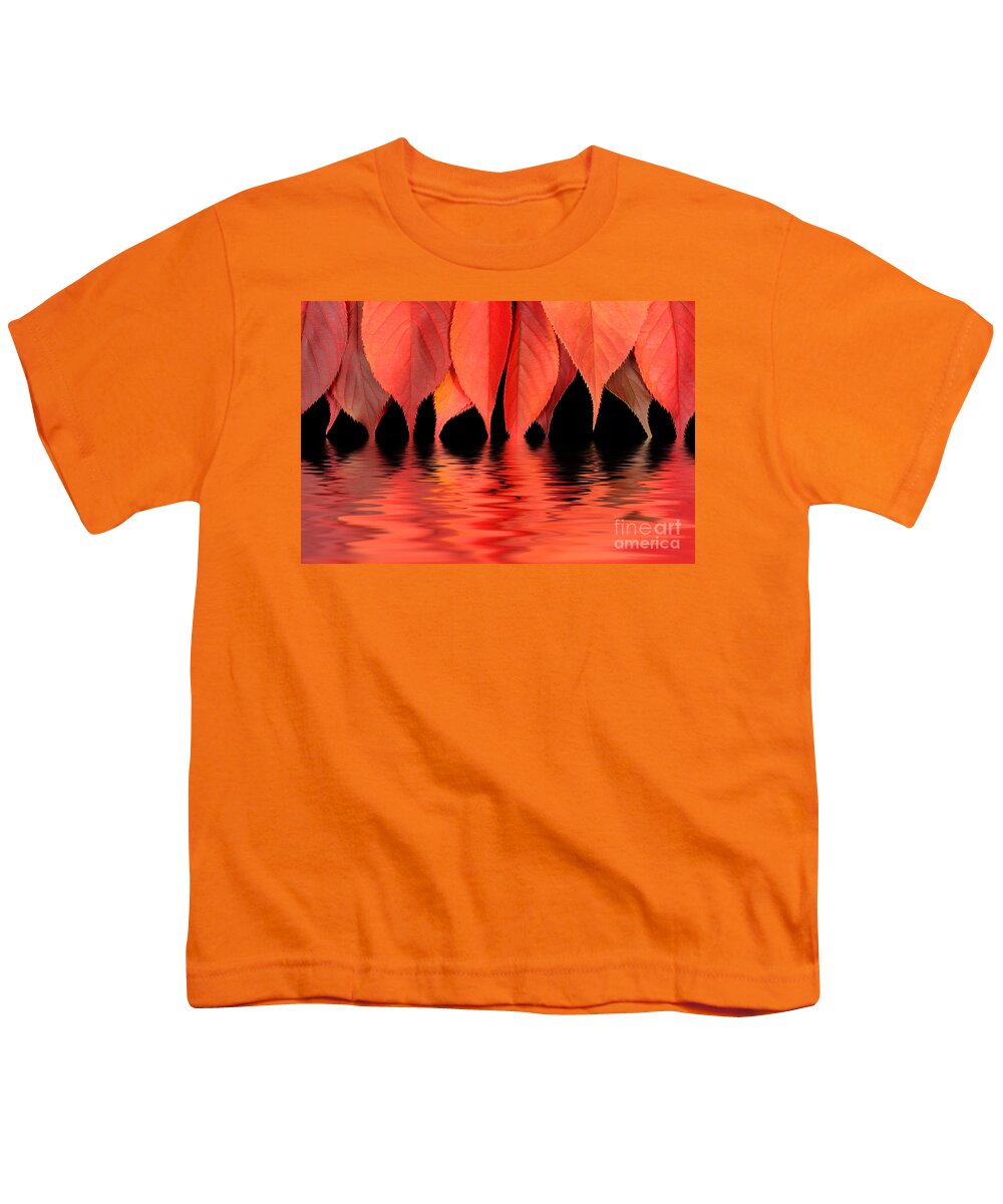 Flames Youth T-Shirt featuring the photograph Red autumn leaves in water by Simon Bratt