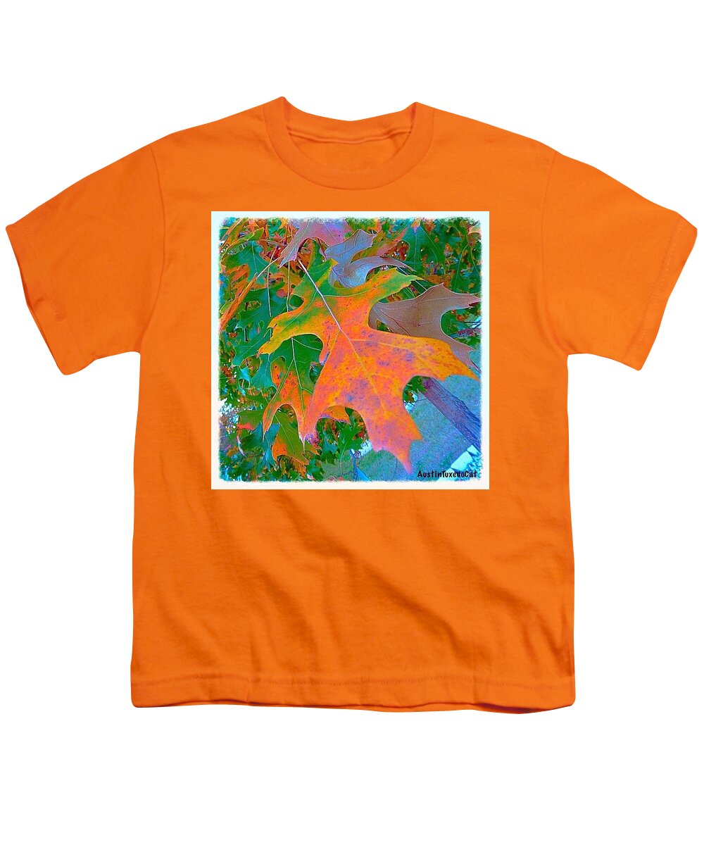 Beautiful Youth T-Shirt featuring the photograph A #leaf From A #beautiful #redoak by Austin Tuxedo Cat