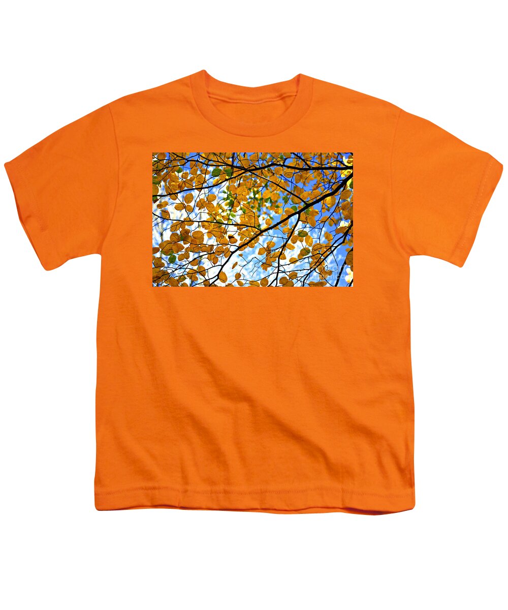 Fall Youth T-Shirt featuring the photograph Autumn tree branches by Elena Elisseeva