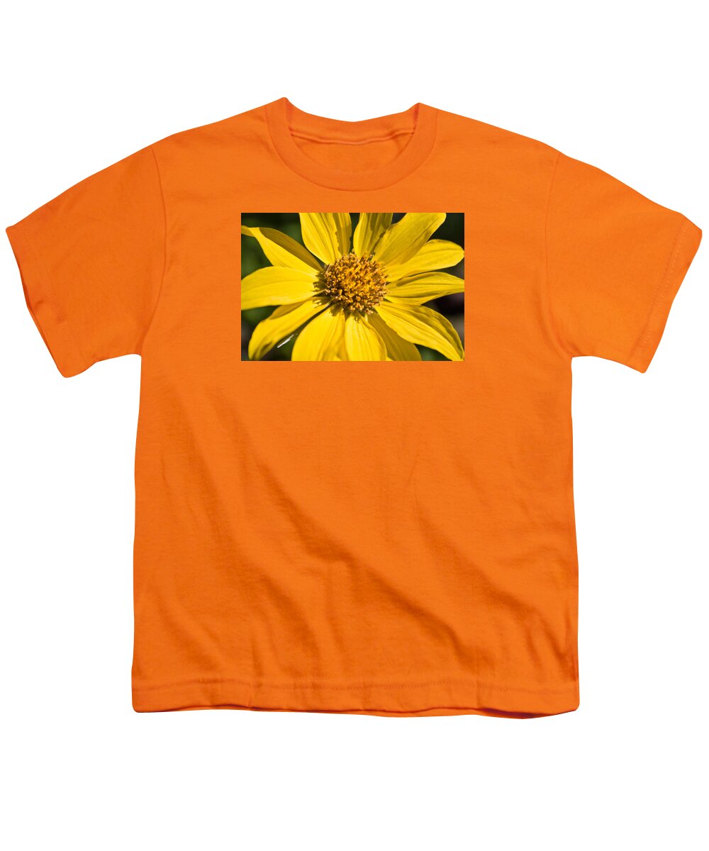 Flower Youth T-Shirt featuring the photograph Balsamroot 2 by Jedediah Hohf