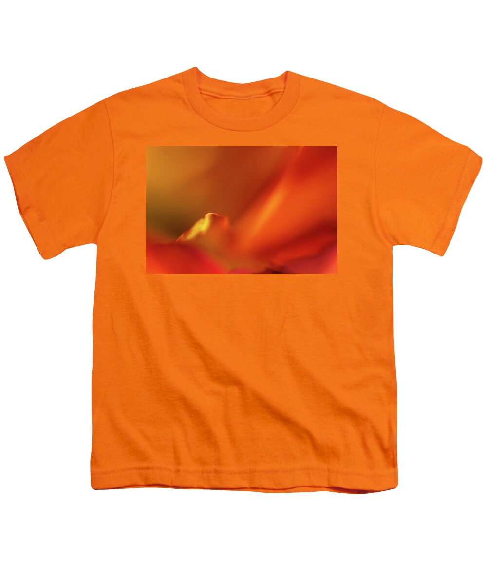 Flower Youth T-Shirt featuring the photograph Bird in a Mum by Bob Cournoyer