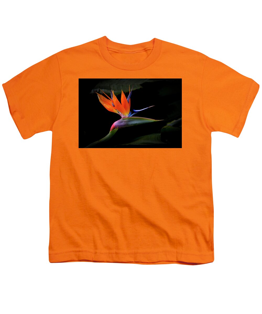 Bird Of Paradise Youth T-Shirt featuring the photograph Bird Of Paradise by Randy Hall