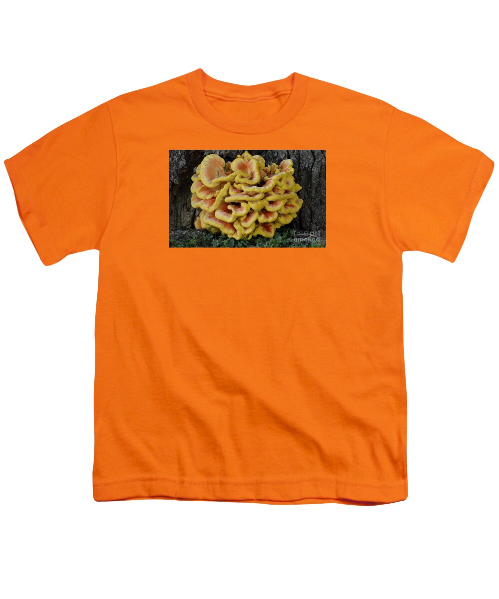 High Virginia Images Youth T-Shirt featuring the photograph Chicken of the Woods by Randy Bodkins