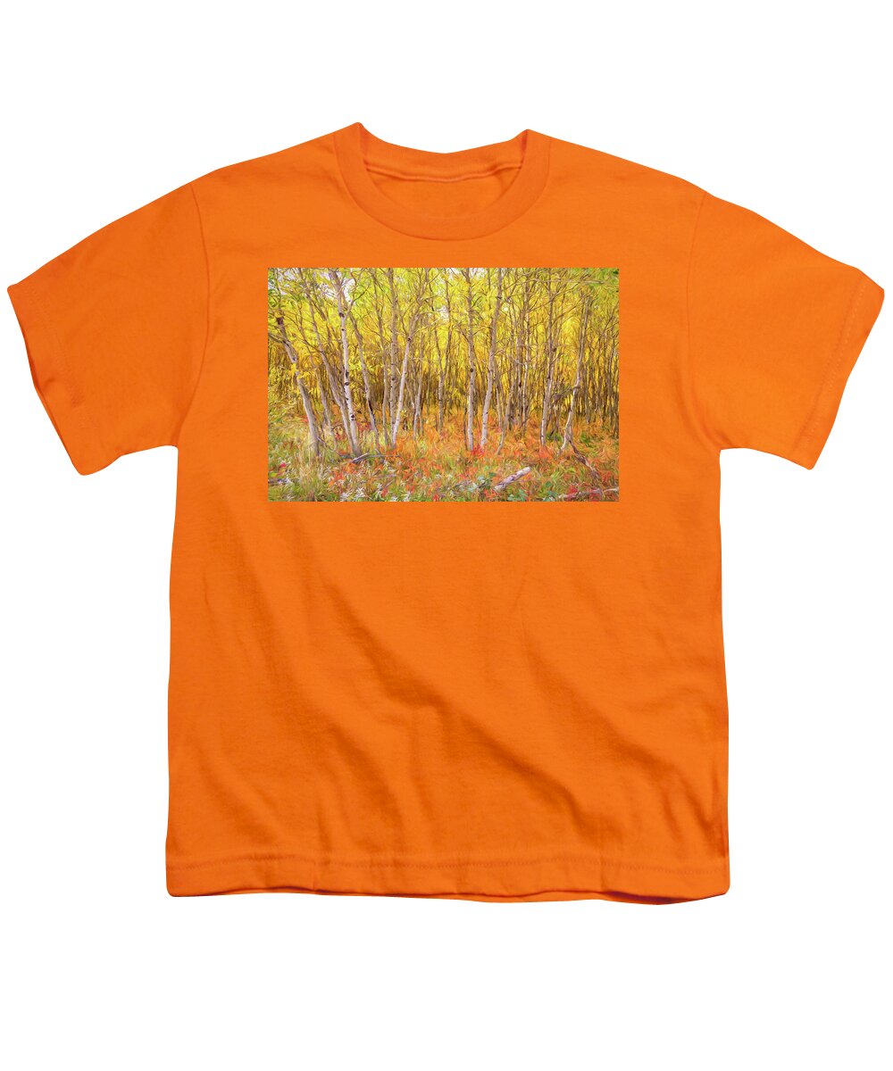 Painting Youth T-Shirt featuring the photograph Colorful Nature Forest Countryside by James BO Insogna