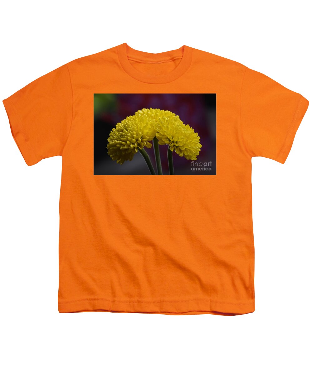 Flower Youth T-Shirt featuring the photograph Colorful triplet by Robert WK Clark