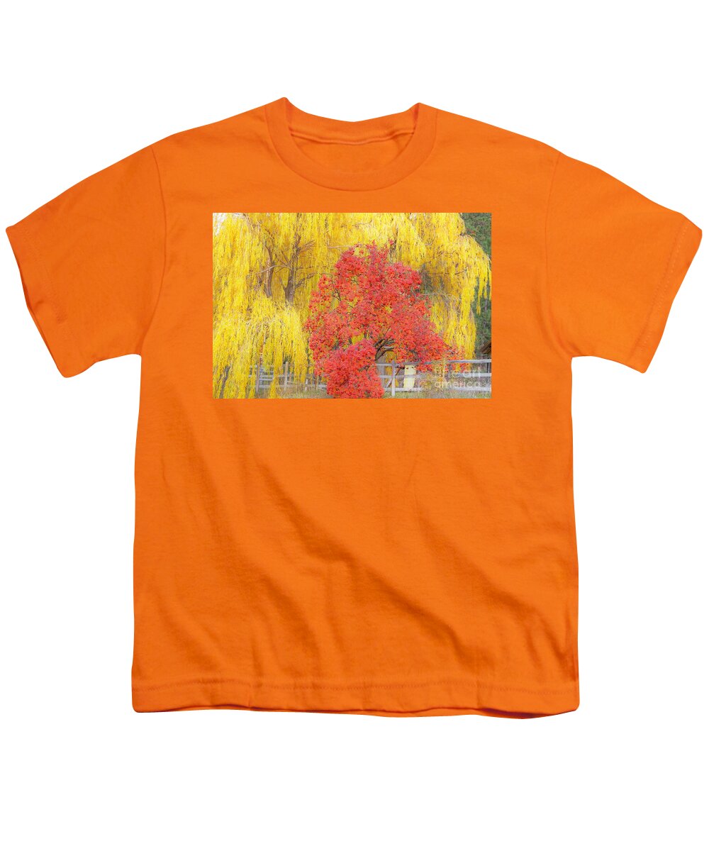 Trees Youth T-Shirt featuring the photograph Contrasting trees by Merle Grenz