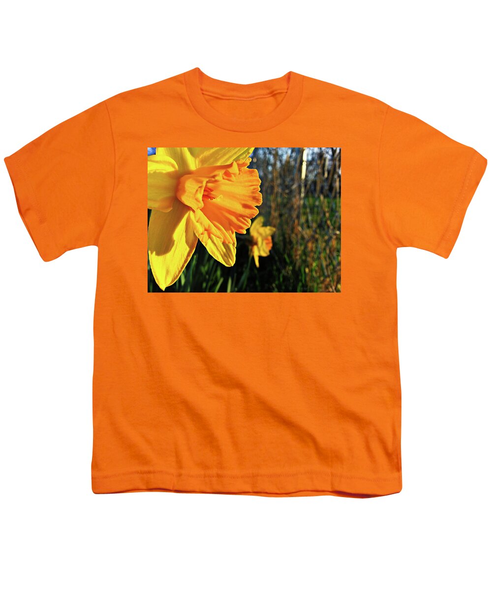 Daffodil Youth T-Shirt featuring the photograph Daffodil Evening by Robert Knight