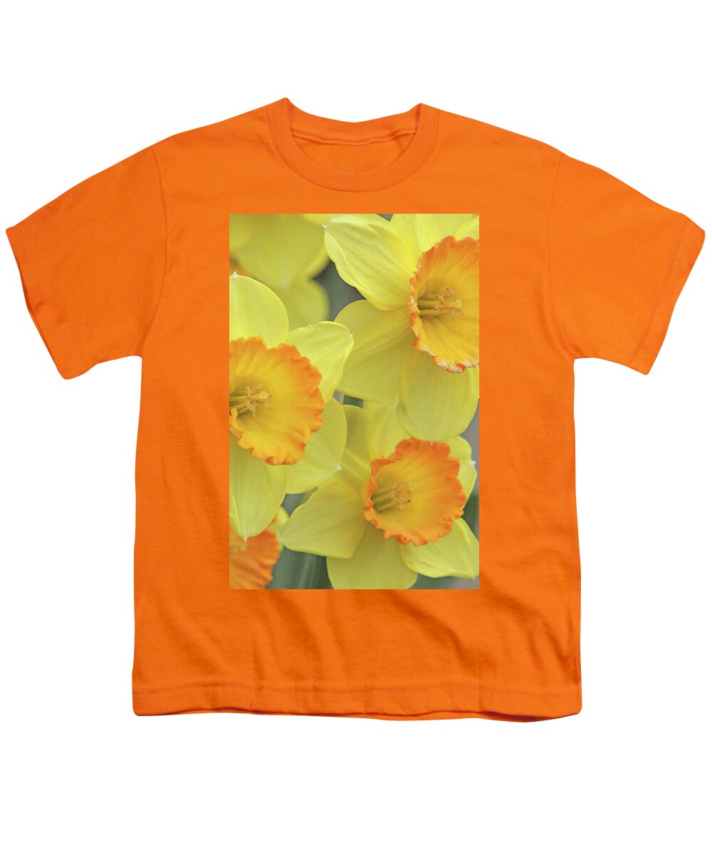 Daffodil Youth T-Shirt featuring the photograph Dallas Daffodils 24 by Pamela Critchlow