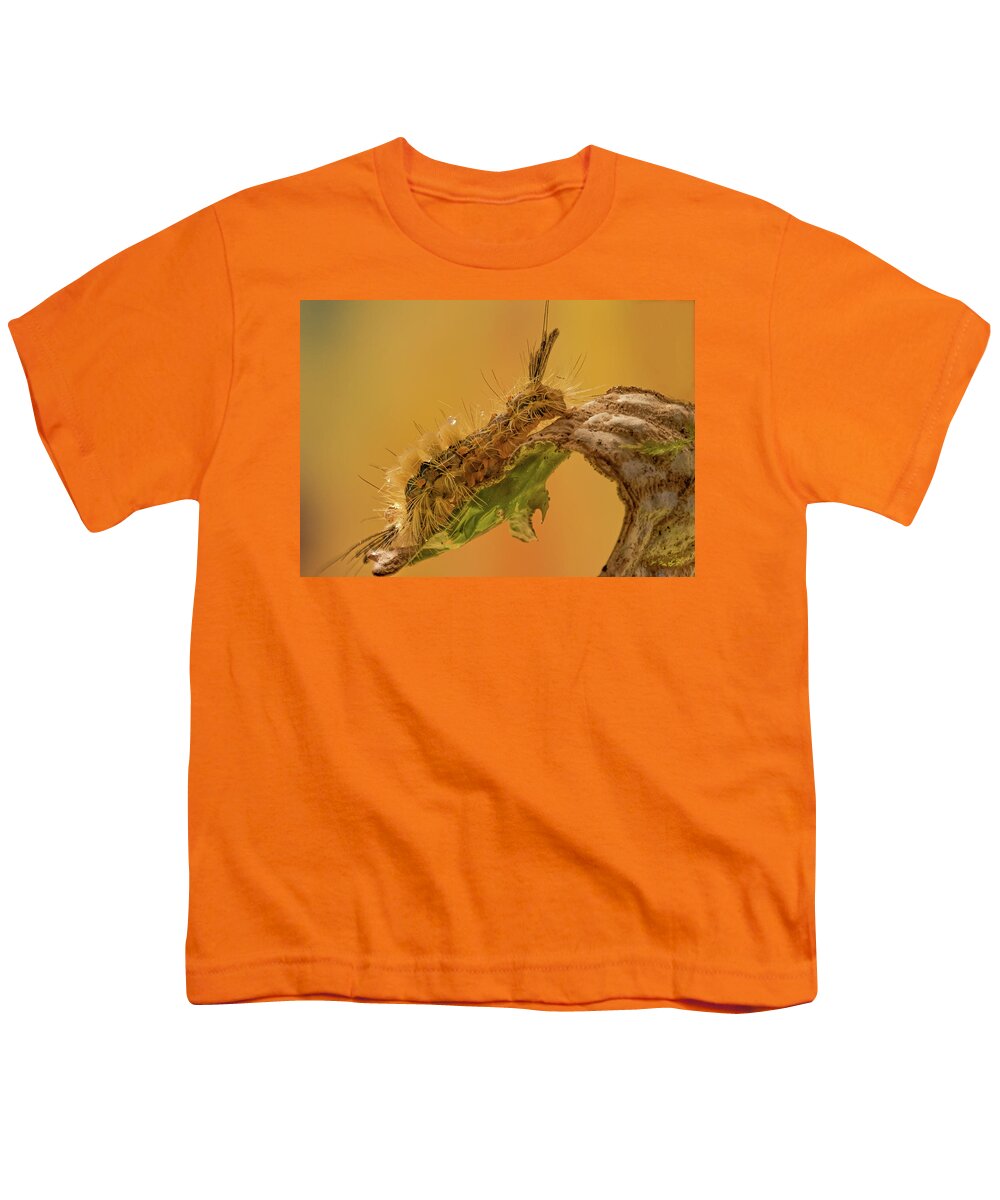 Jean Noren Youth T-Shirt featuring the photograph Dining Catepillar by Jean Noren