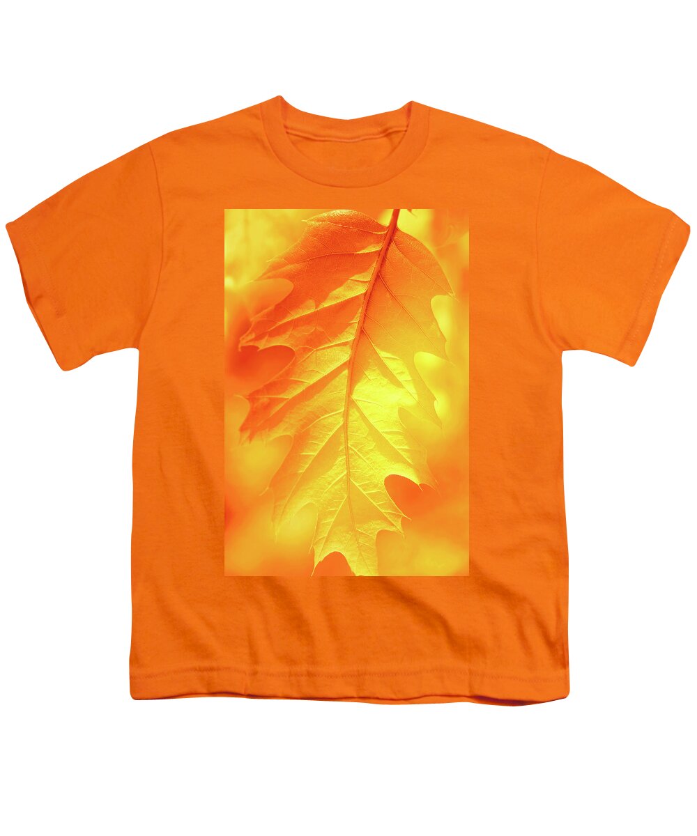 Leaf Youth T-Shirt featuring the photograph Fall Shade by Iryna Goodall