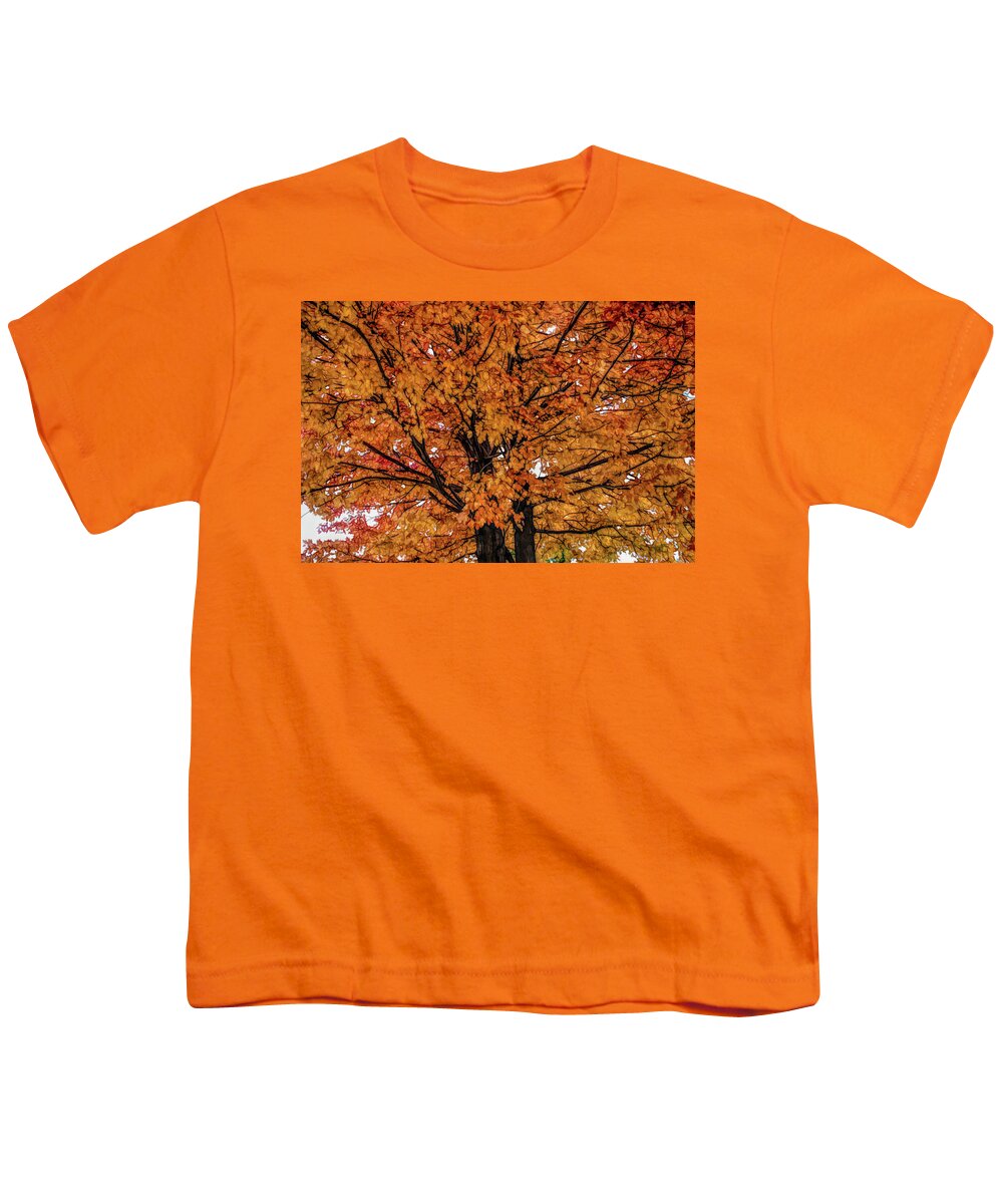 Autumn Youth T-Shirt featuring the photograph Fine Wine Cafe Golden Tree by Aimee L Maher ALM GALLERY