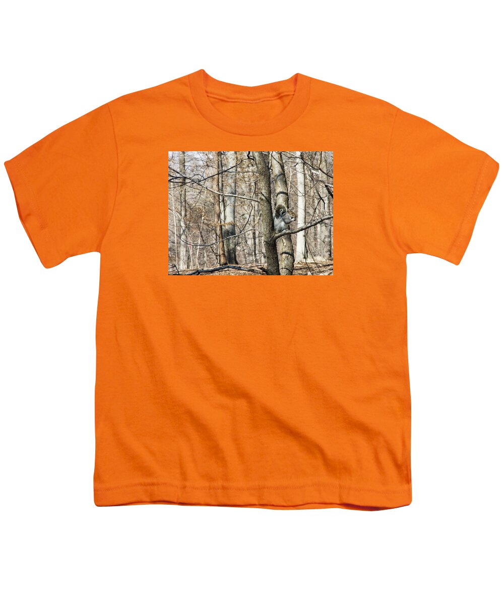 Squirrel Youth T-Shirt featuring the photograph Good day for eating by Jose Rojas