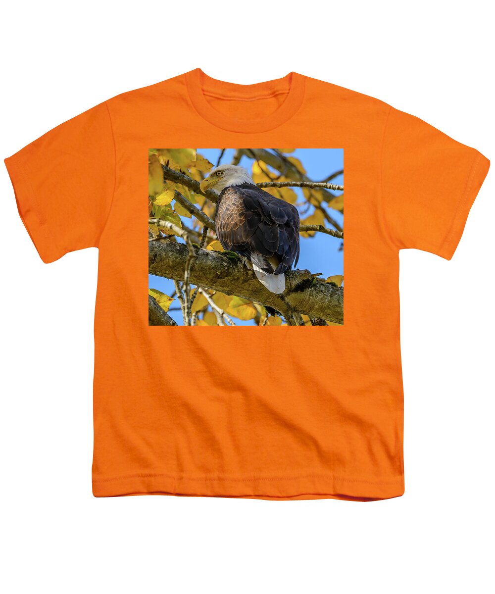 Eagle. Bald Eagle Youth T-Shirt featuring the photograph Majesty in Yellow by Jerry Cahill