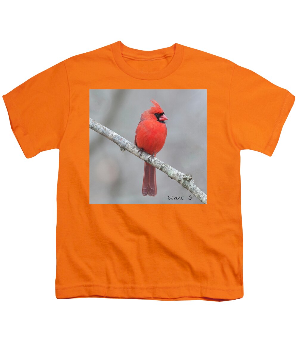 Male Northern Cardinal Youth T-Shirt featuring the photograph Male Northern Cardinal by Diane Giurco