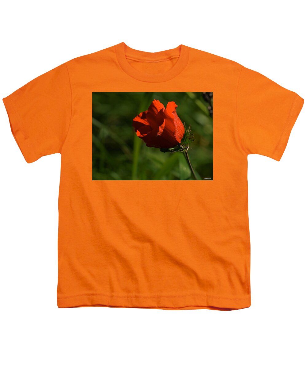 Flowers Youth T-Shirt featuring the photograph Morning Glory by Uri Baruch