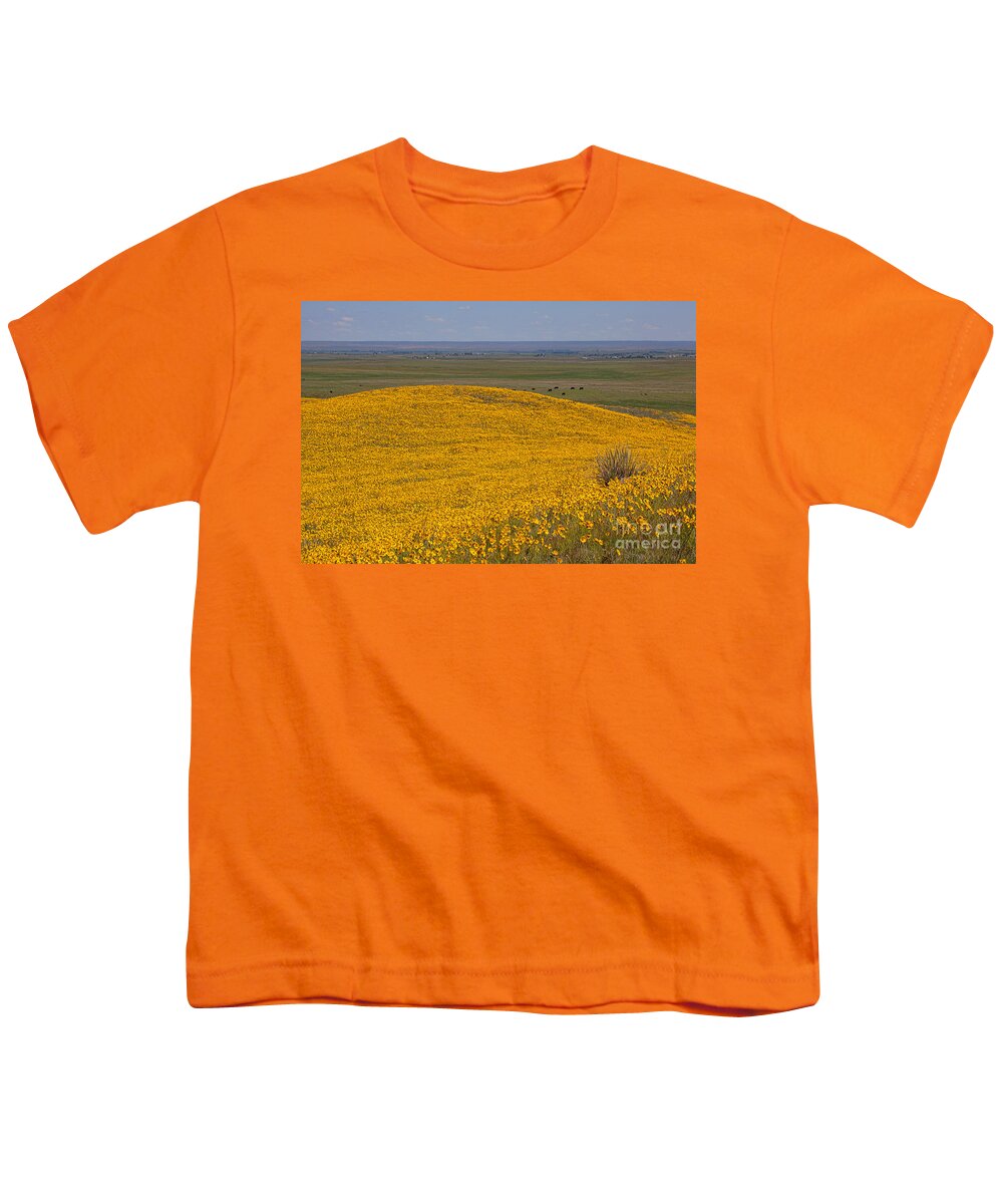 Yellow Wildflowers Youth T-Shirt featuring the photograph Mound of Gold by Jim Garrison
