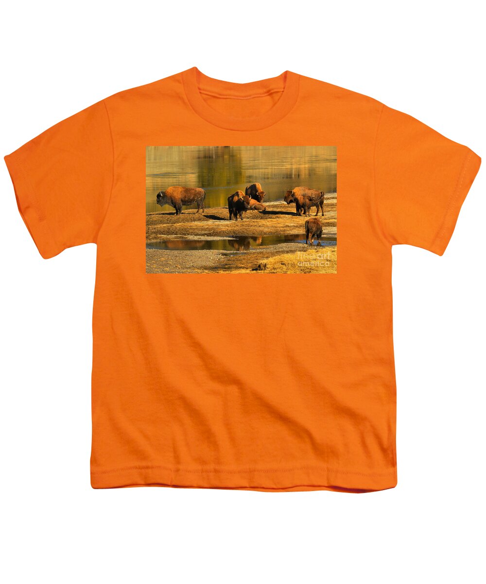 Bison Youth T-Shirt featuring the photograph Preparing To Cross The Yellowstone River by Adam Jewell