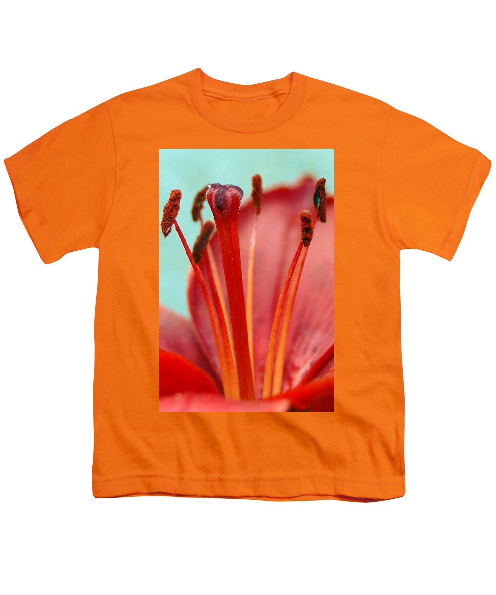 Flower Youth T-Shirt featuring the photograph Red Lily Reach by Amy Fose