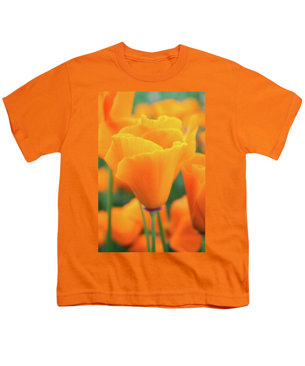 Poppies Youth T-Shirt featuring the photograph Spring Poppy Perfection by Lynn Bauer