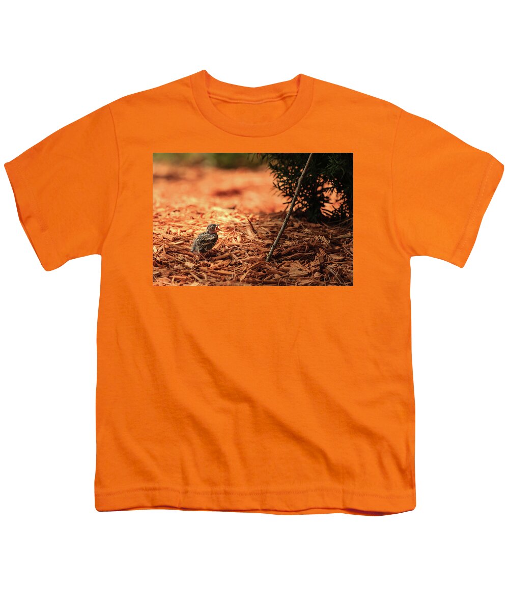 Chipping Sparrow Youth T-Shirt featuring the photograph Story of the Baby Chipping Sparrow 1 of 10 by Joni Eskridge