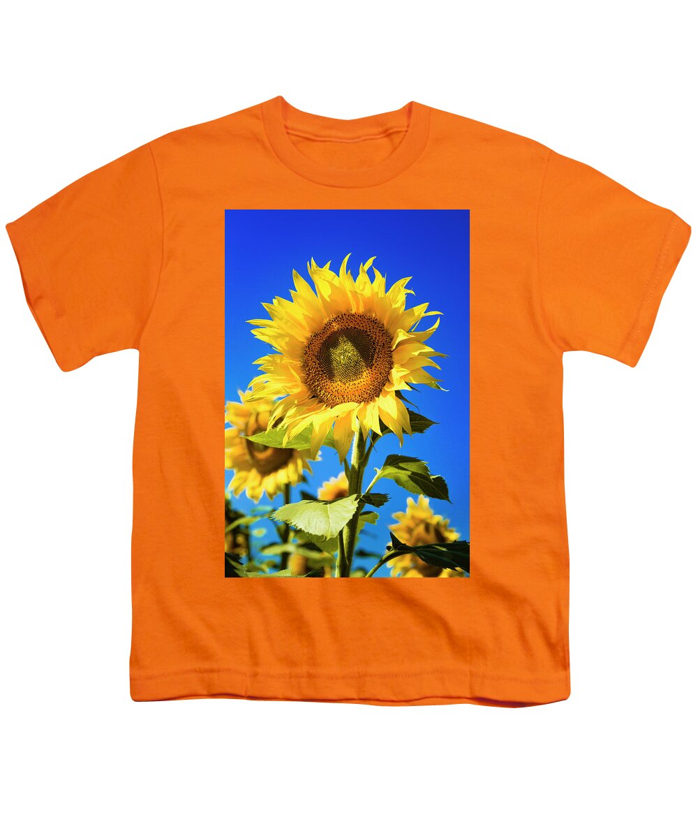 Agriculture Youth T-Shirt featuring the photograph Sunflower Summer by Teri Virbickis