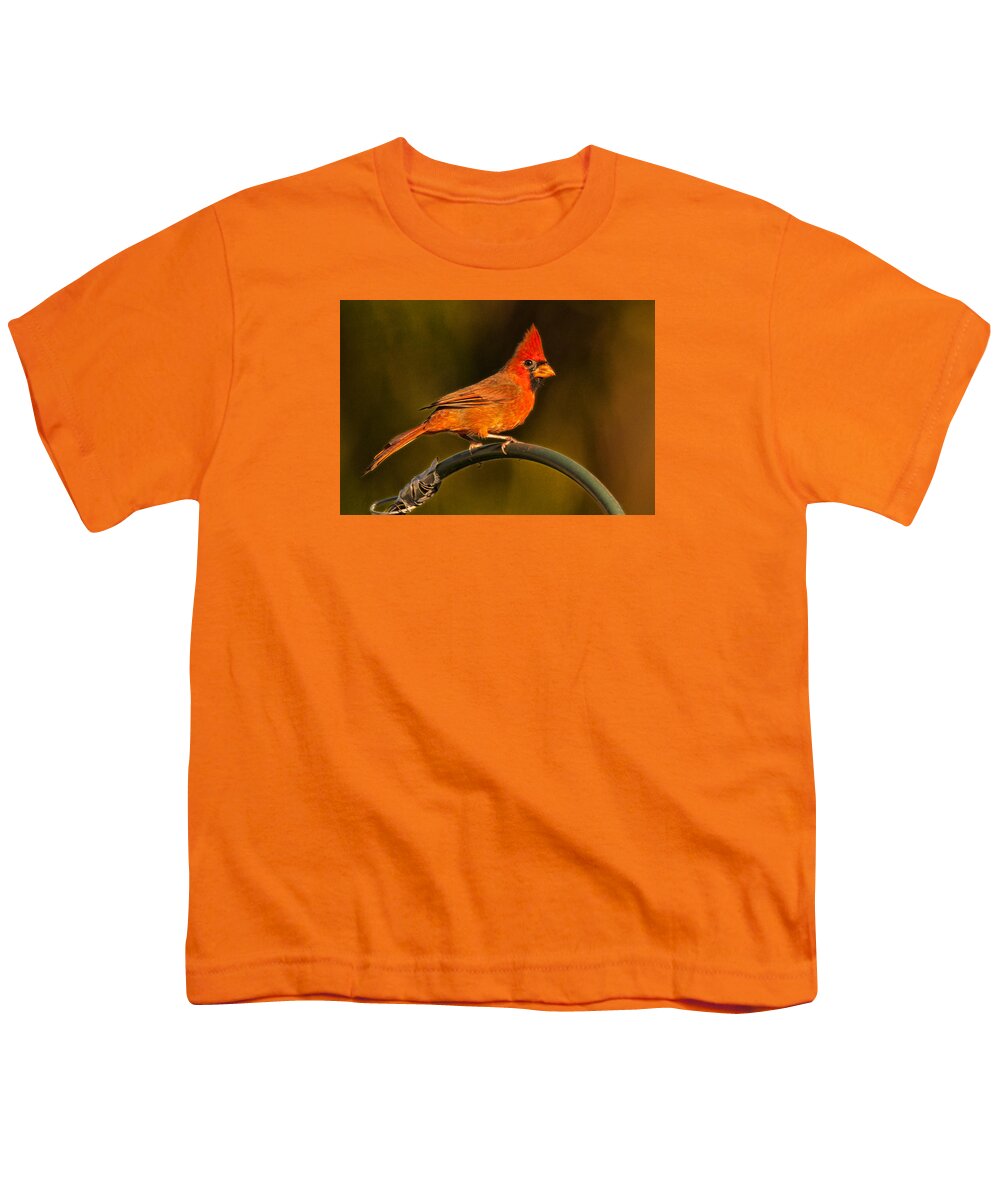 Cardinal Youth T-Shirt featuring the photograph The Cardinal by Don Durfee