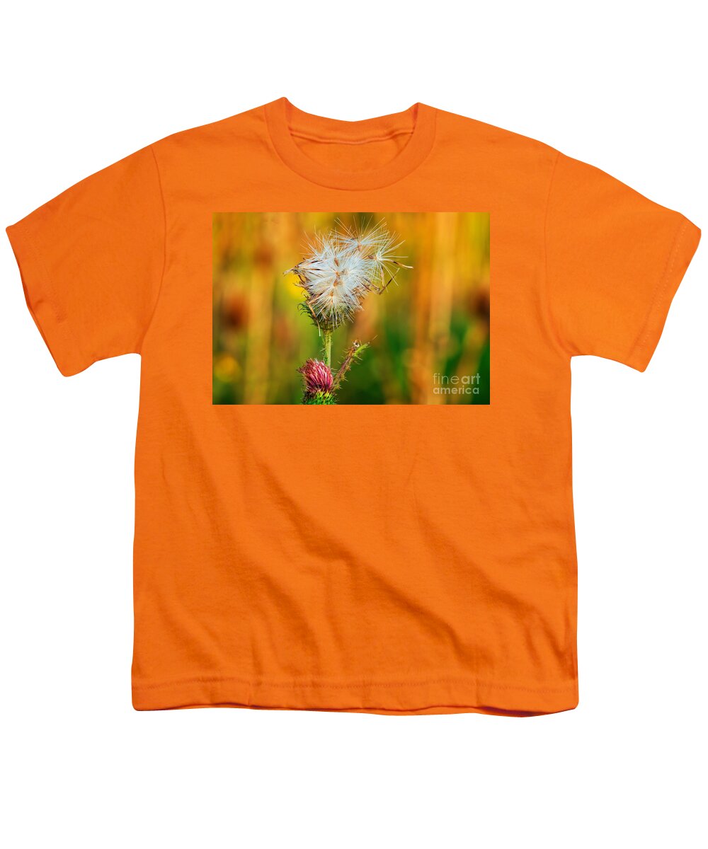 Bloom Youth T-Shirt featuring the photograph Thistle seeds by Les Palenik