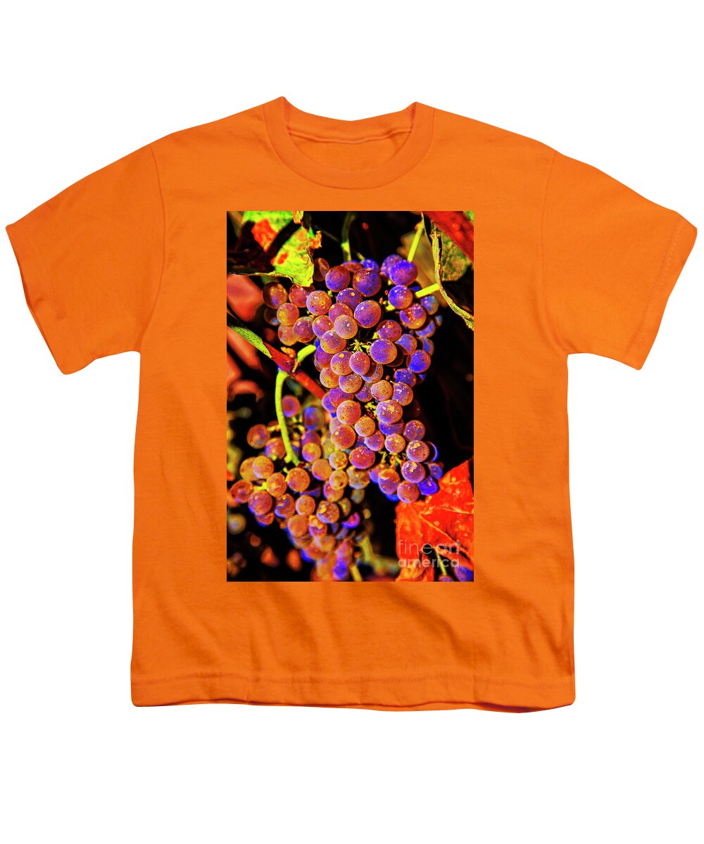 Portugal Vines Vineyards Grapes Youth T-Shirt featuring the photograph Wines of Faith by Rick Bragan