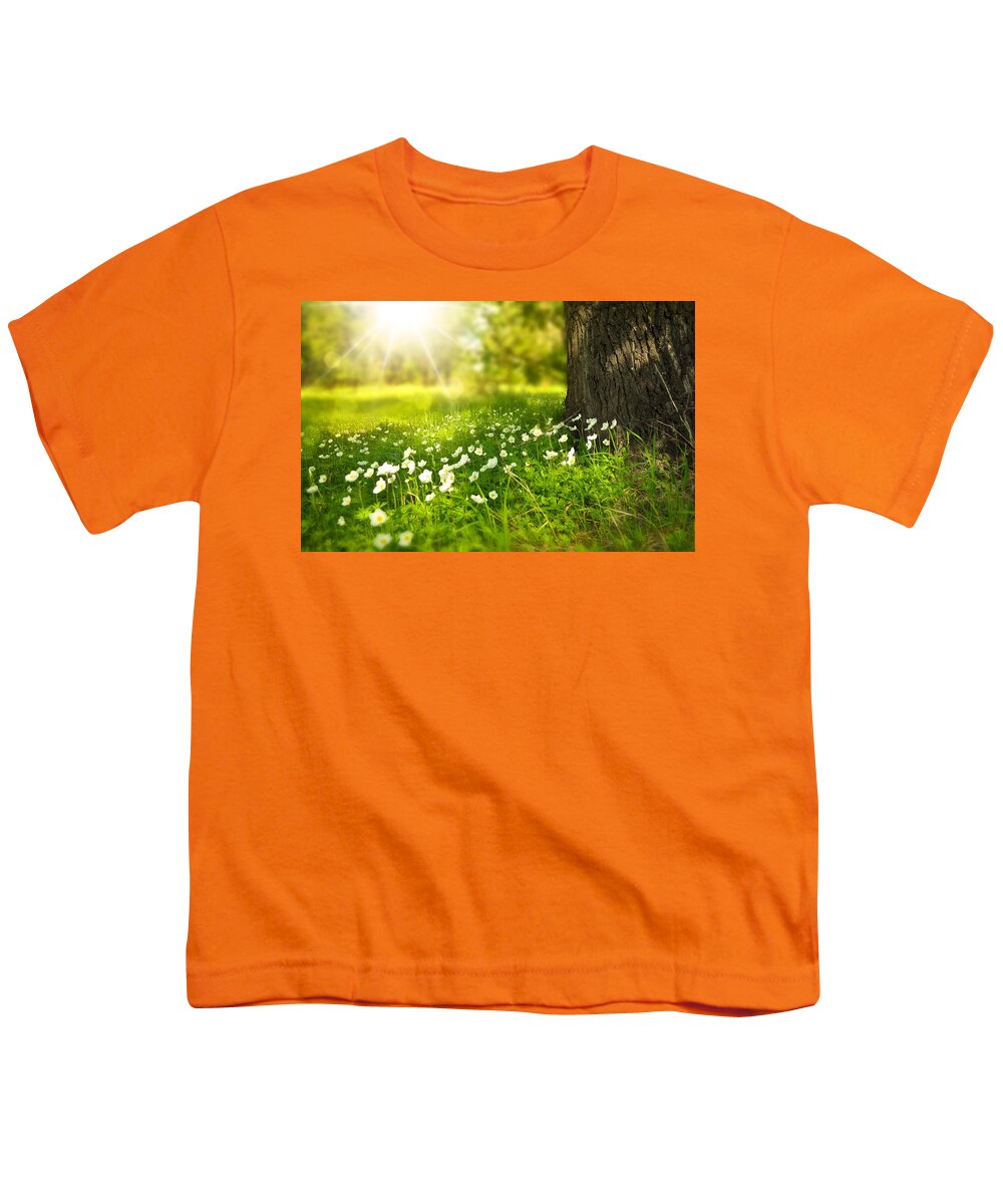 Flowers Youth T-Shirt featuring the photograph Field of daisies by Top Wallpapers