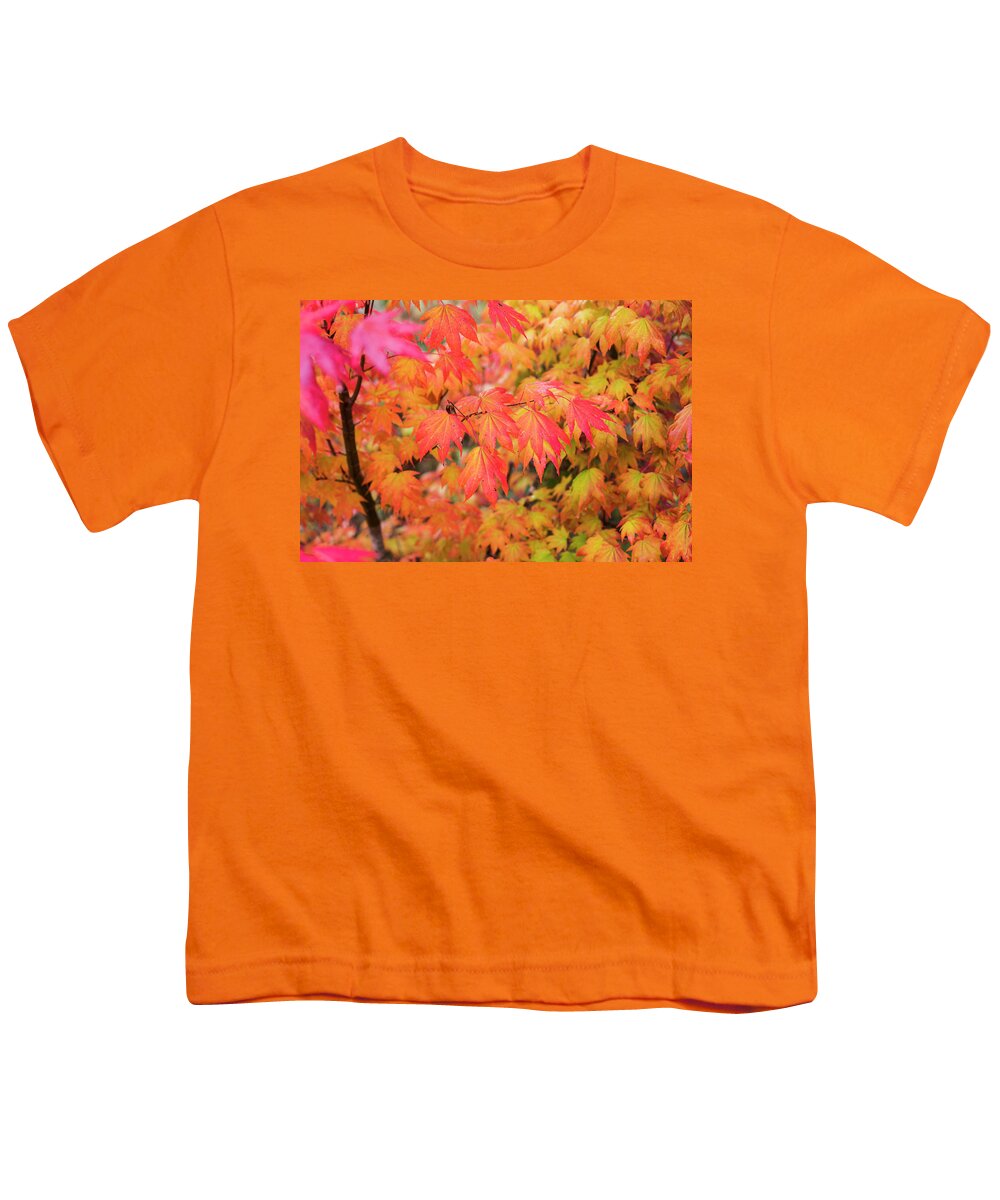 Astoria Youth T-Shirt featuring the photograph November Leaves by Robert Potts