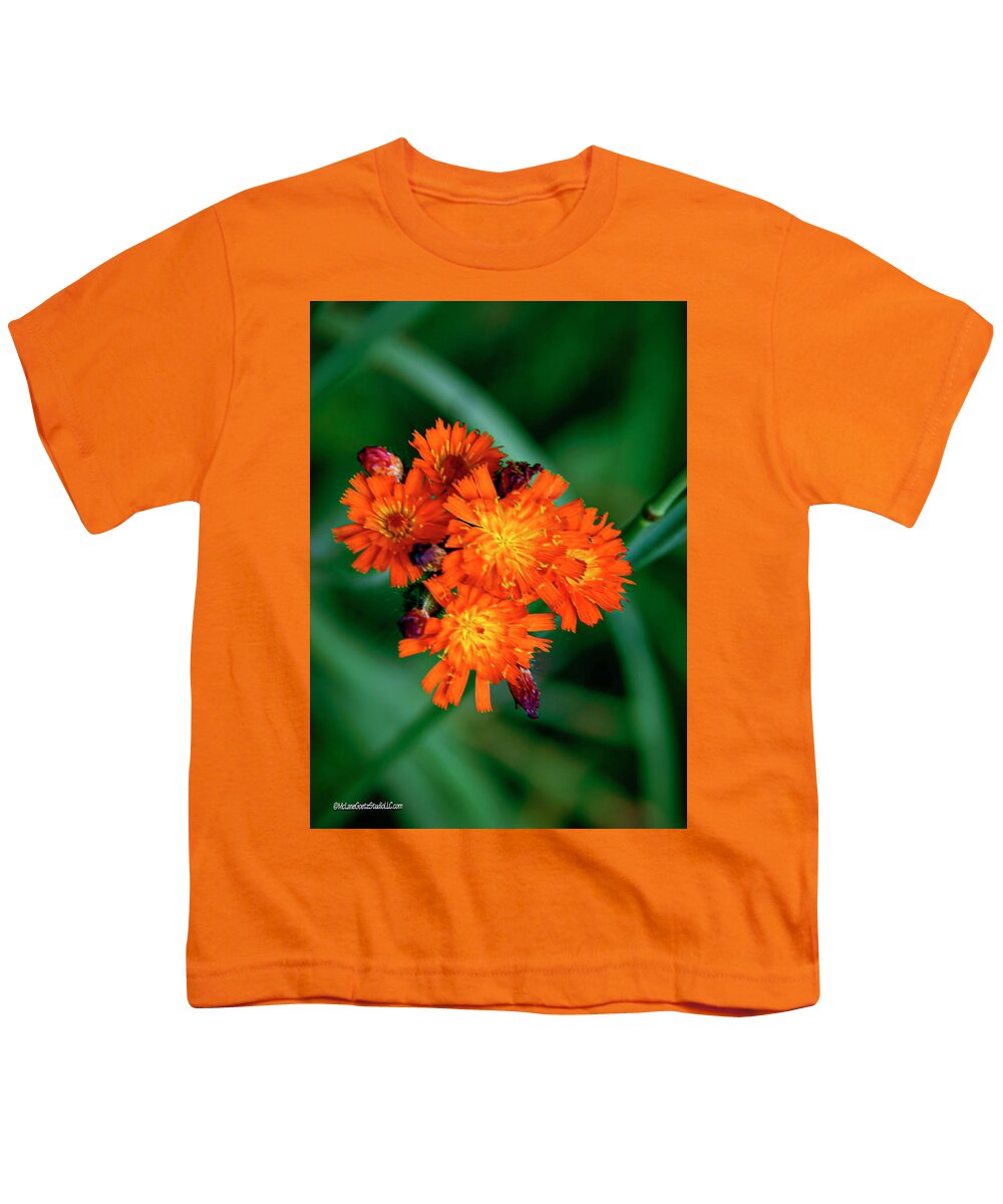 Floral Youth T-Shirt featuring the photograph Orange Hawkweed by LeeAnn McLaneGoetz McLaneGoetzStudioLLCcom
