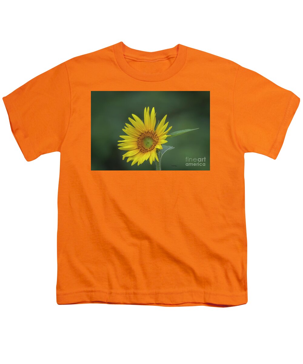 Sunflowers Youth T-Shirt featuring the photograph Sunflower Peaking and Visitor by DB Hayes