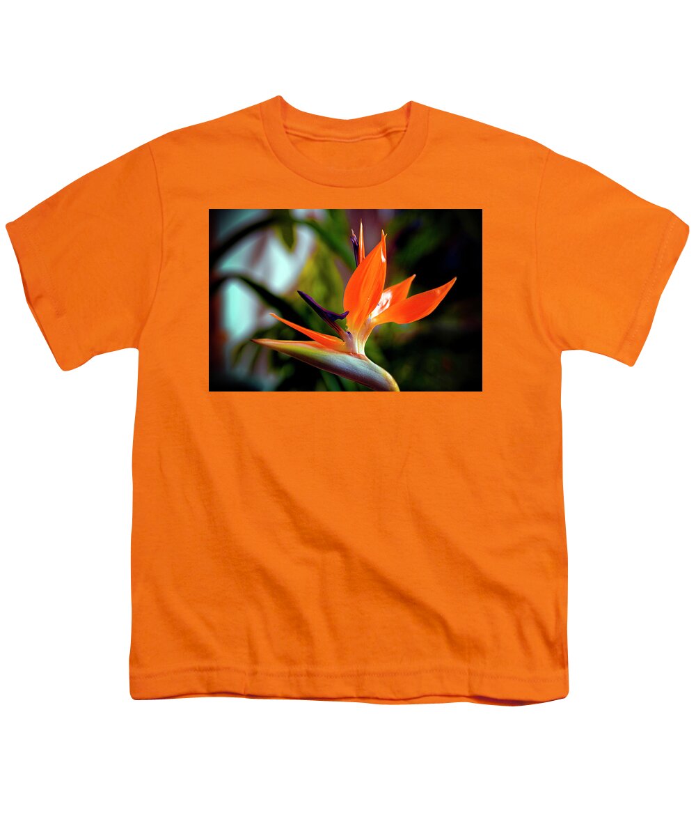 Bird Of Paradise Youth T-Shirt featuring the photograph Bird of Paradise by Greg Reed