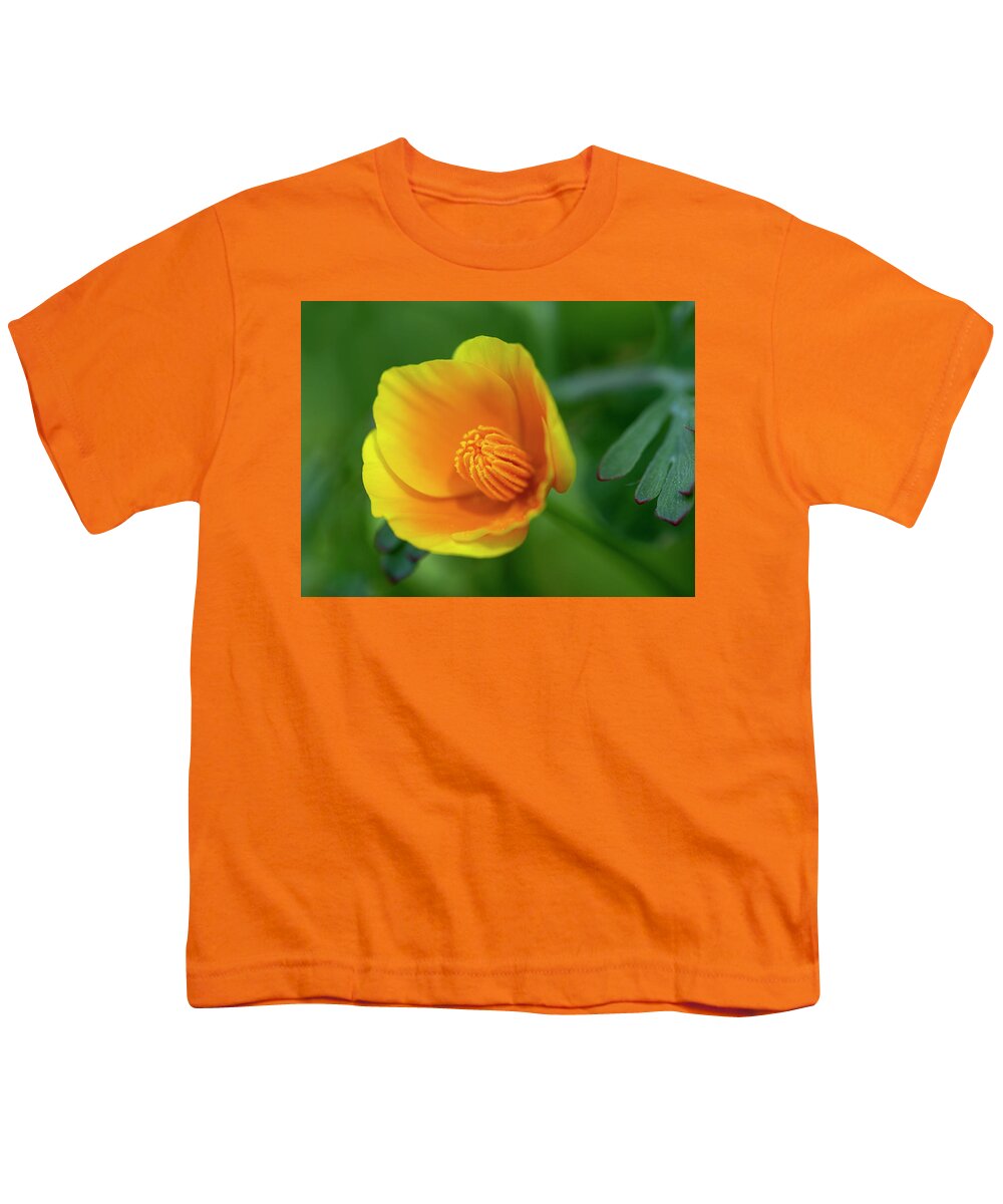 Youth T-Shirt featuring the photograph California Poppy #2 by Carla Brennan