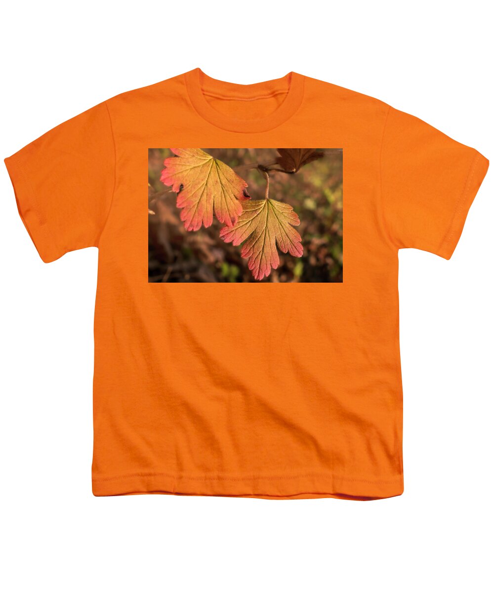 Colorful Leaves Youth T-Shirt featuring the photograph Colorful Leaves by Sandra J's