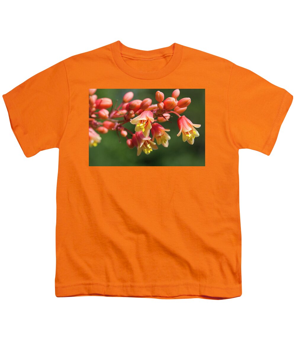 Hesperaloe Youth T-Shirt featuring the photograph Coral Glow Texas Yucca Blossoms - Hesperaloe by Kathy Clark