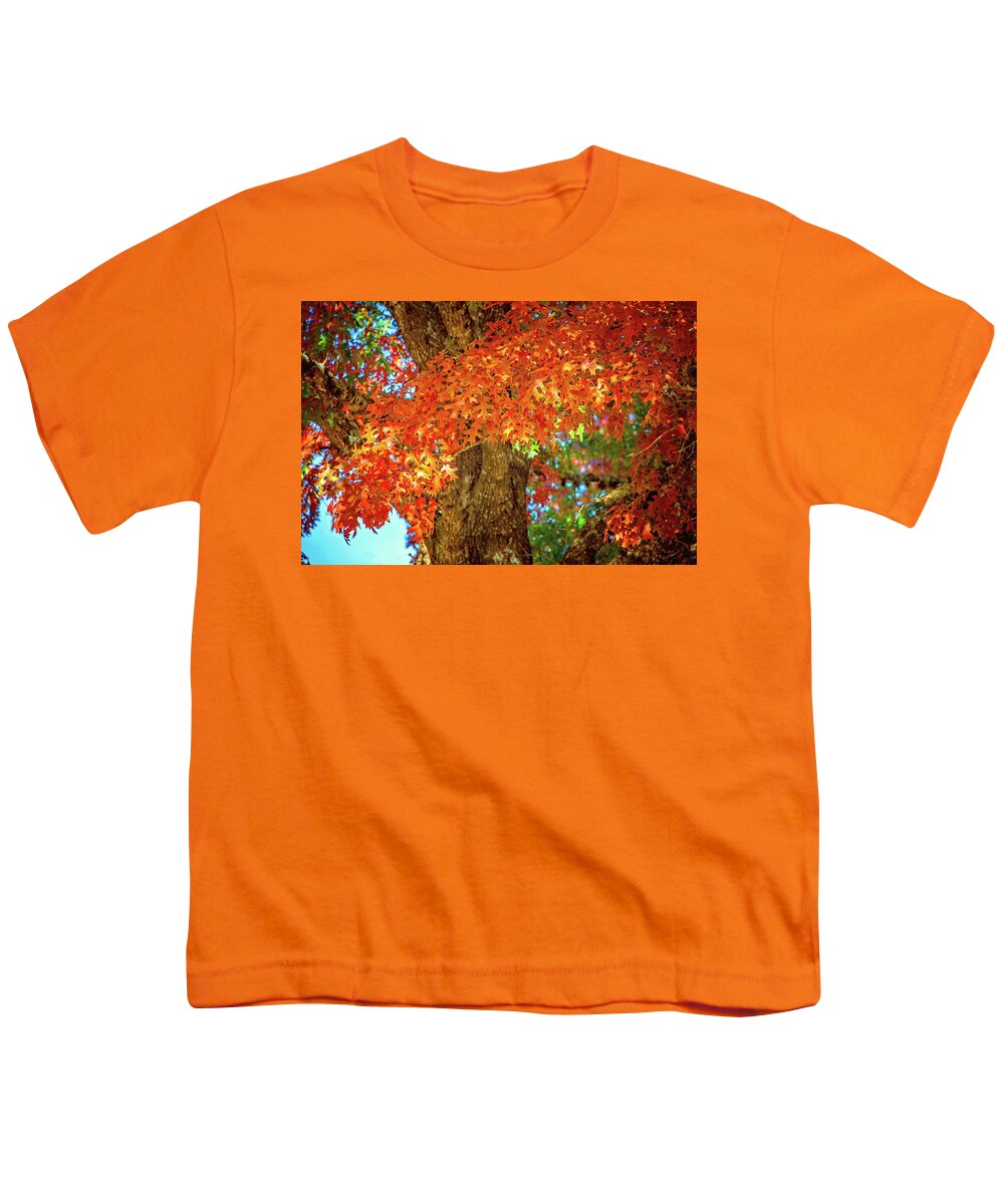 Texas Hill Country Youth T-Shirt featuring the photograph Draped in Autumn Beauty by Lynn Bauer