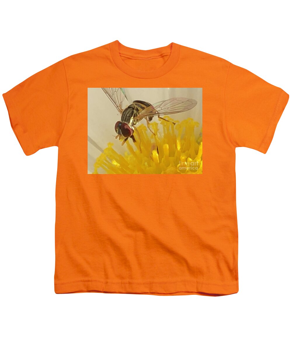 Bugs Youth T-Shirt featuring the photograph Flower Fly by Catherine Wilson