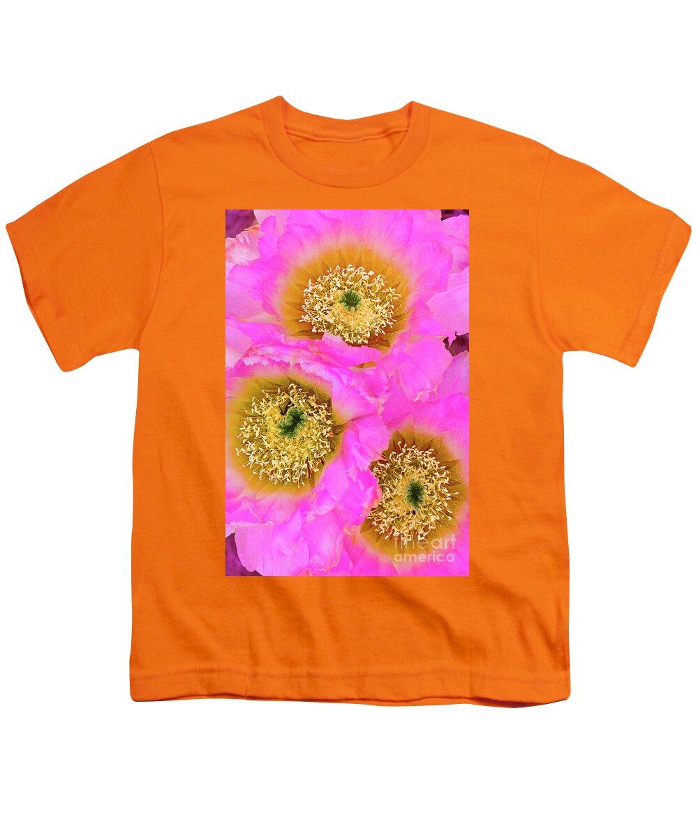 Lace Cactus Youth T-Shirt featuring the photograph Lace Cactus Flowers by Dave Welling