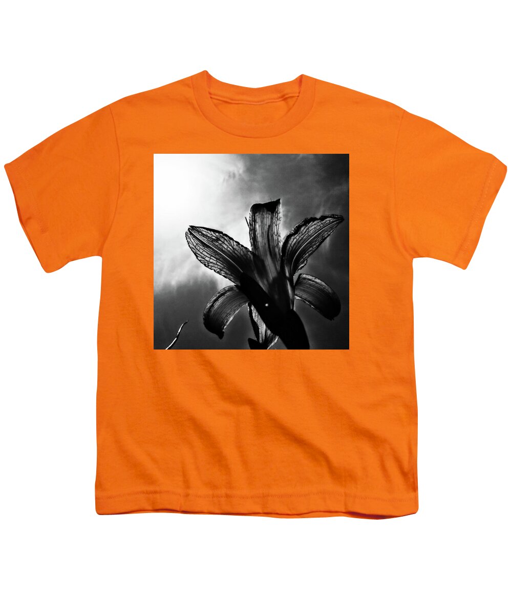 Daylily Silhouette Youth T-Shirt featuring the digital art Looking Up by Pamela Smale Williams