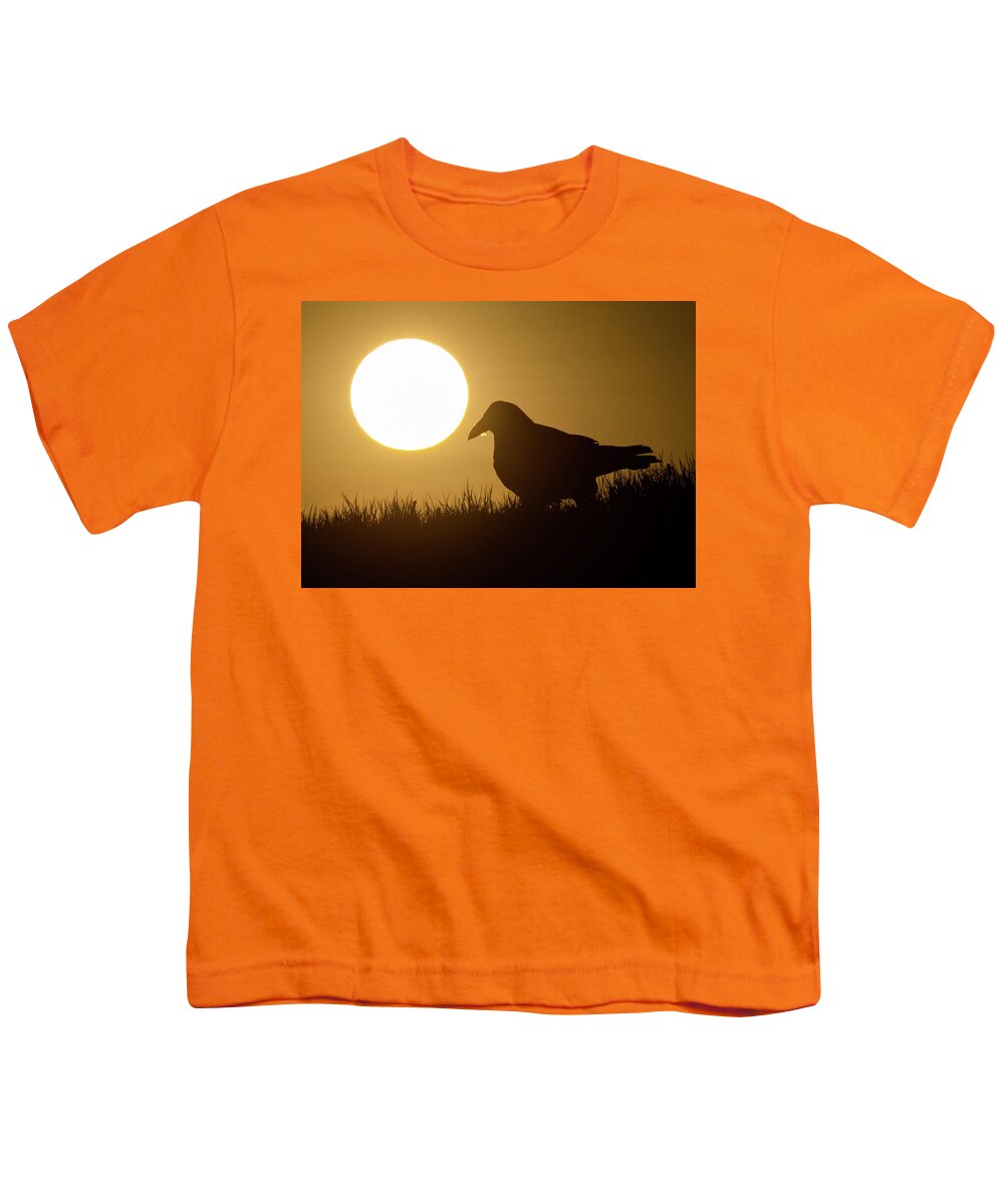 Common Raven Youth T-Shirt featuring the photograph Raven Sunrise by Max Waugh