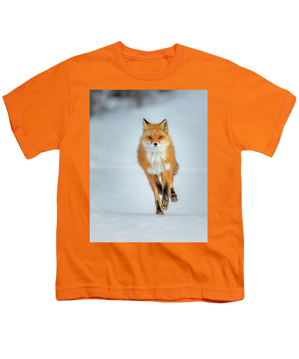(vulpes Vulpes) Youth T-Shirt featuring the photograph Red Fox Running by James Capo