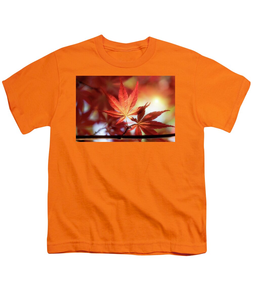Red Maple Leaves At Sunset Youth T-Shirt featuring the photograph Red Maple Leaves at Sunset by Philippe Sainte-Laudy