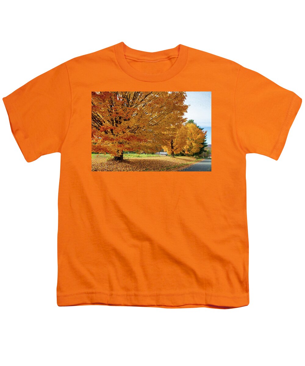 Landscape Youth T-Shirt featuring the photograph Richmond 989 by Michael Fryd