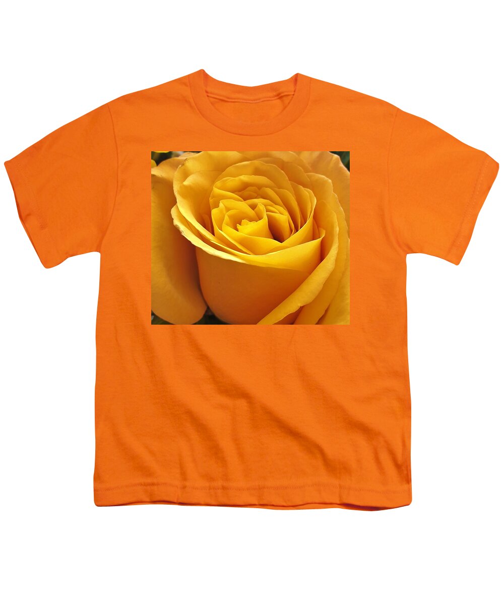 Rose Youth T-Shirt featuring the photograph Rose Light by Andrea Whitaker