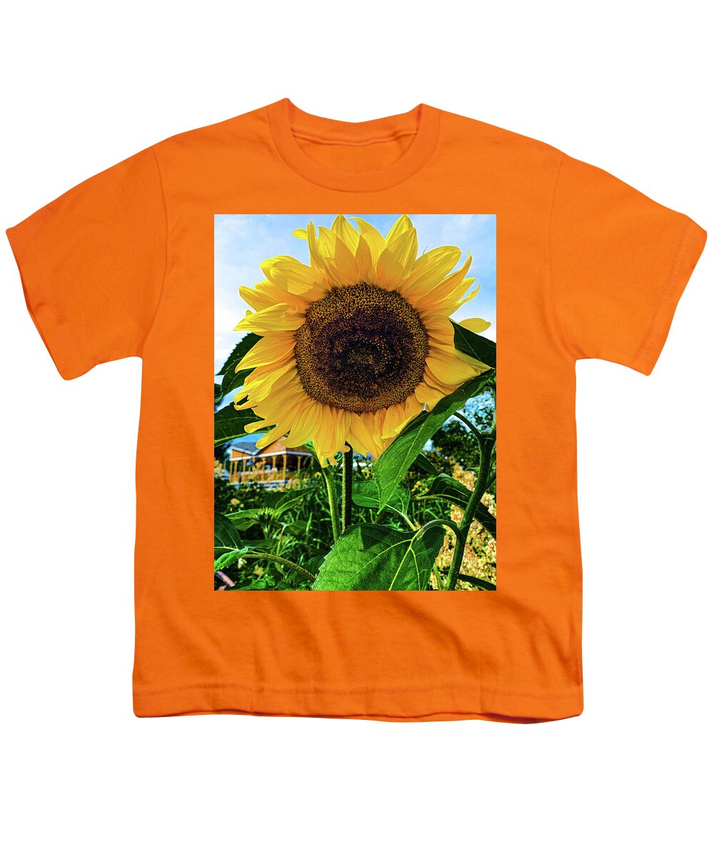 Flower Youth T-Shirt featuring the photograph Sunflower by Jim Feldman