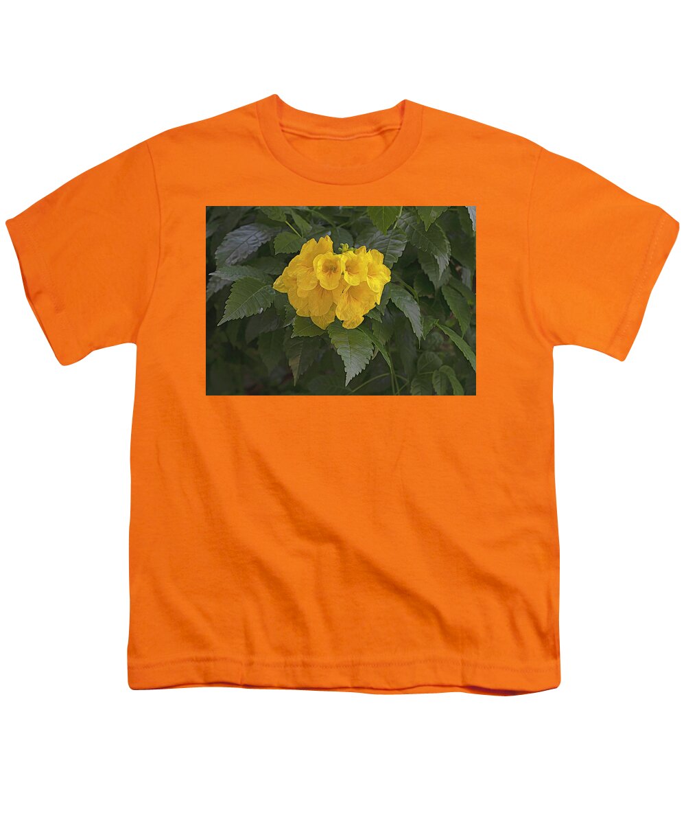 Flower Youth T-Shirt featuring the photograph Sunshine Yellow by Kathy Baccari