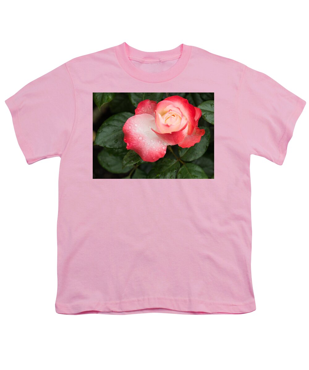 Sweetheart Rose Youth T-Shirt featuring the photograph Dreaming of Sweetheart Roses by Georgia Mizuleva