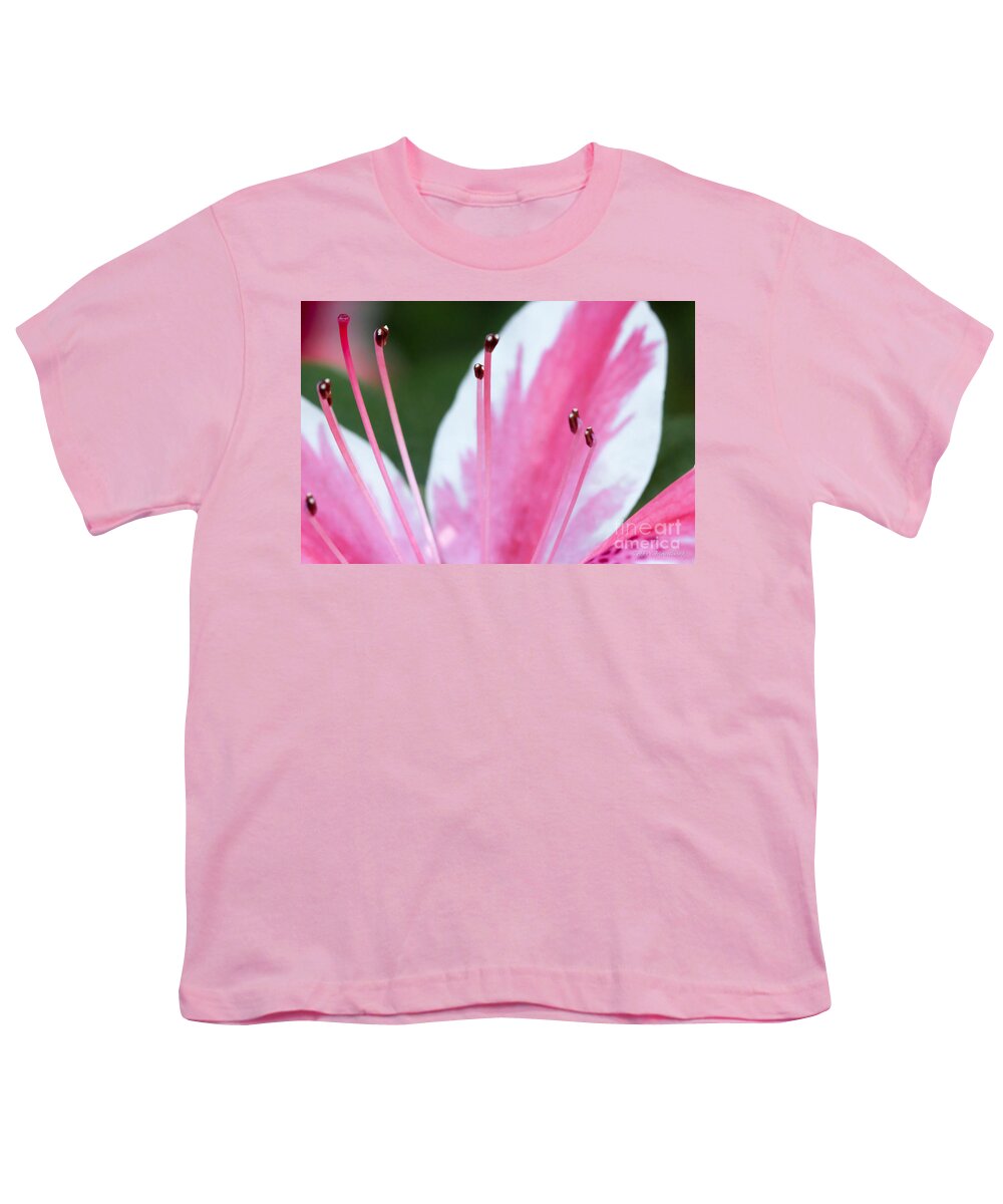 Flower Youth T-Shirt featuring the photograph Pink Azalea by Todd Blanchard